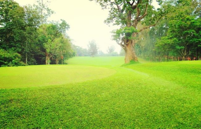 Kerala-Golf-Tourism-Packages