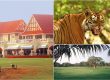 Best Golf Packages in India