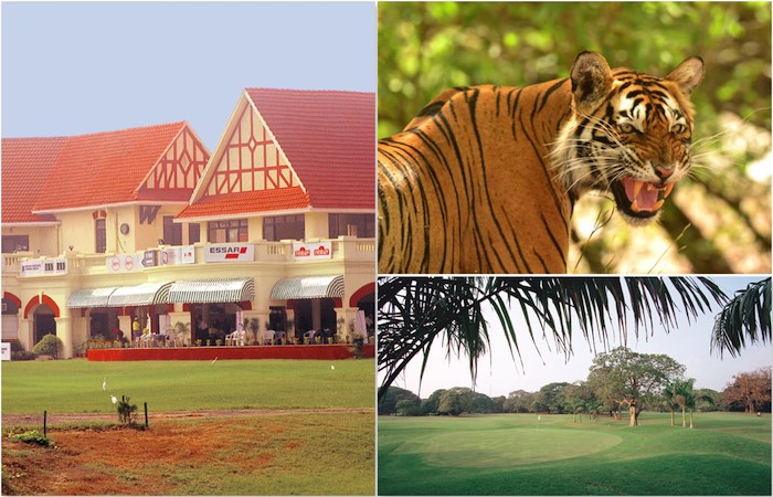 Best Golf Packages in India